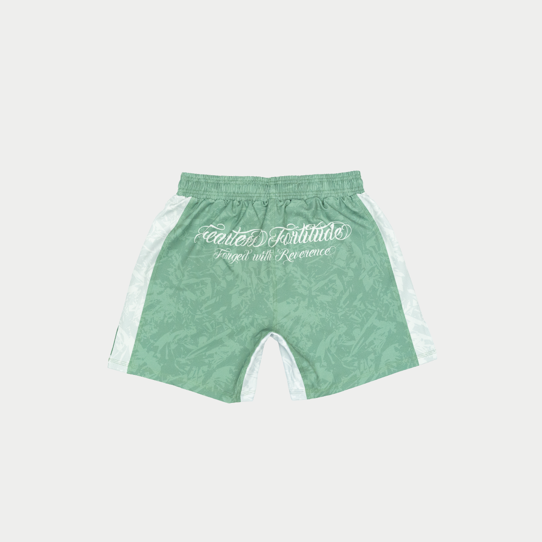 The Palette MMA Shorts (Green)